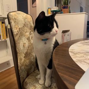 Meet your Posher, Robert